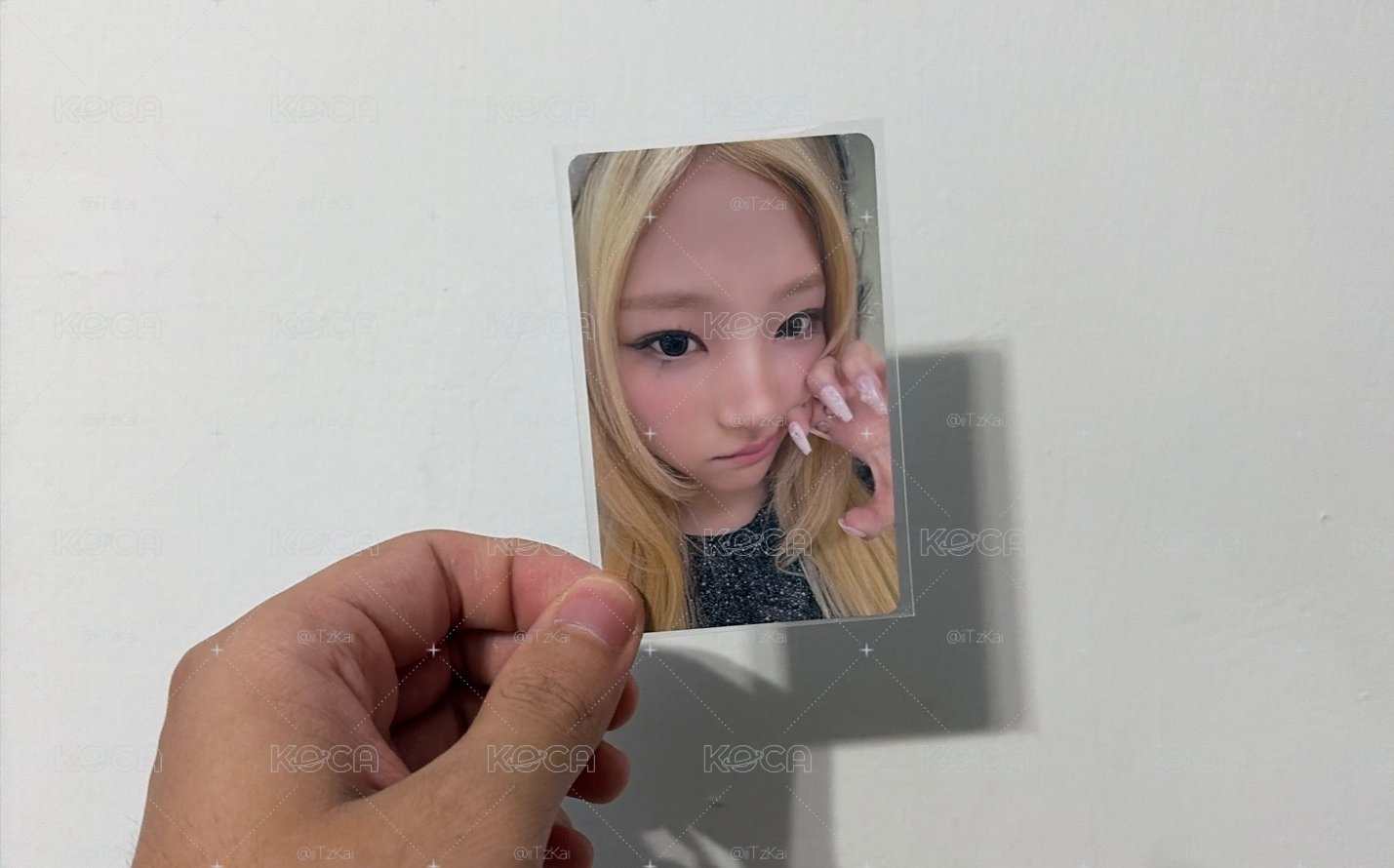 Stella 環球特典