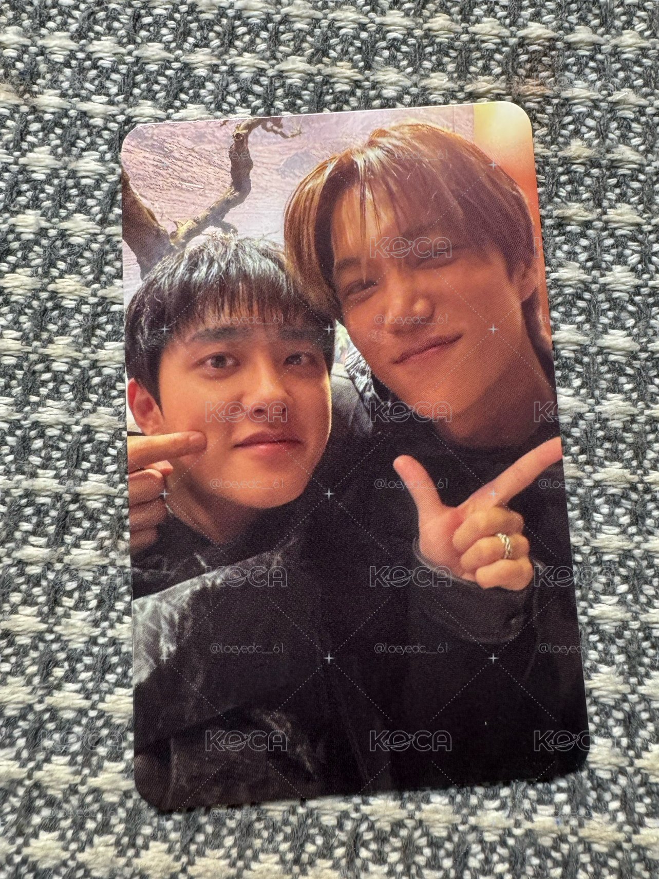 🛸EXO 🐻🐧雙人卡