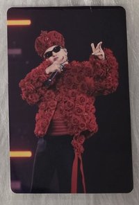 Bang Bang 龍