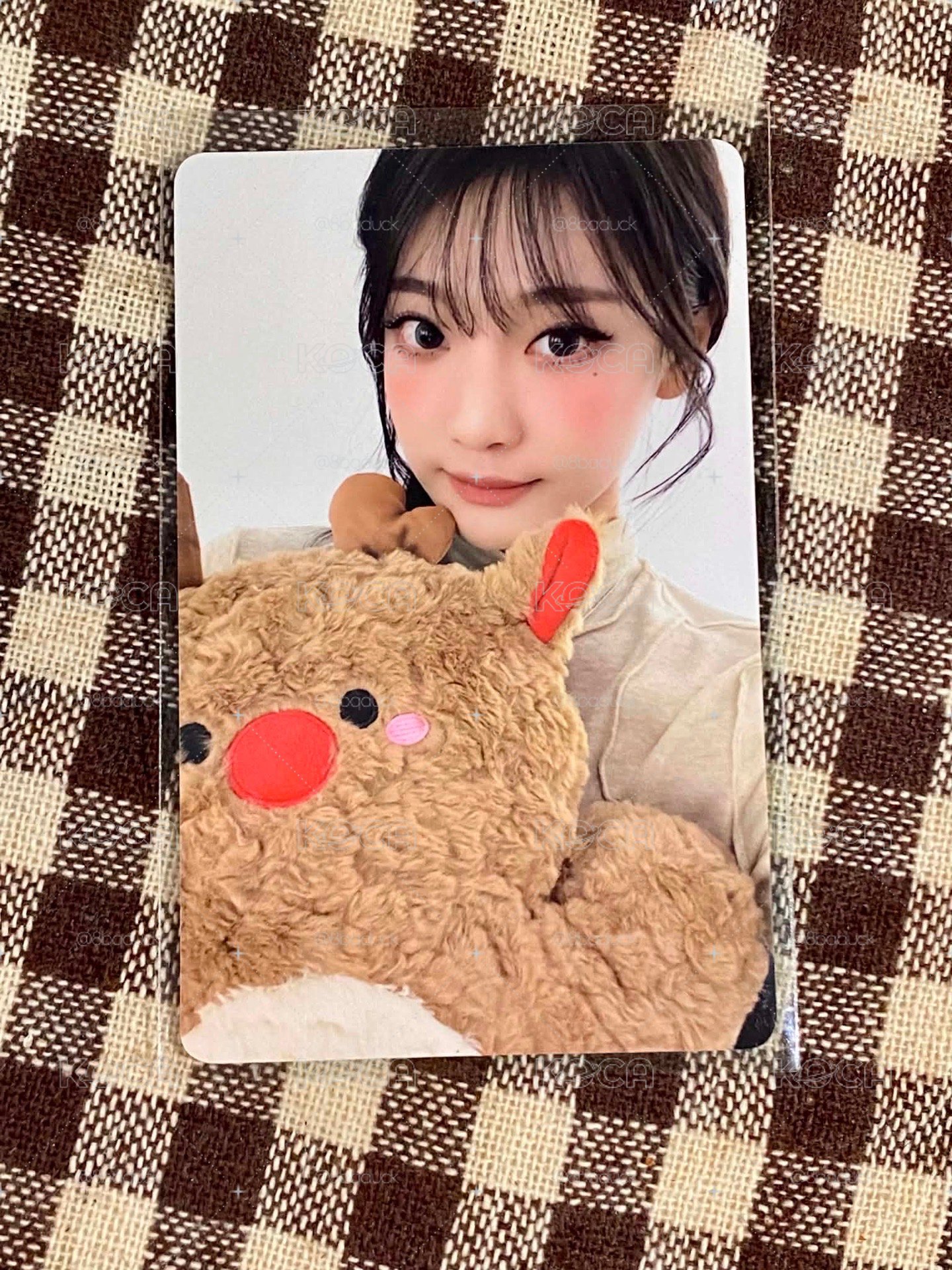 聖誕簽售寧