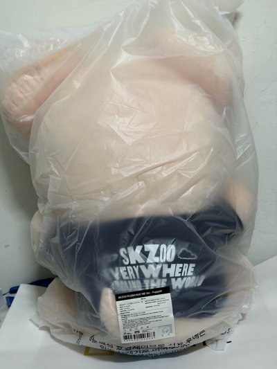 SKZOO 全球快閃店 玟 豆豆眼 抱娃 