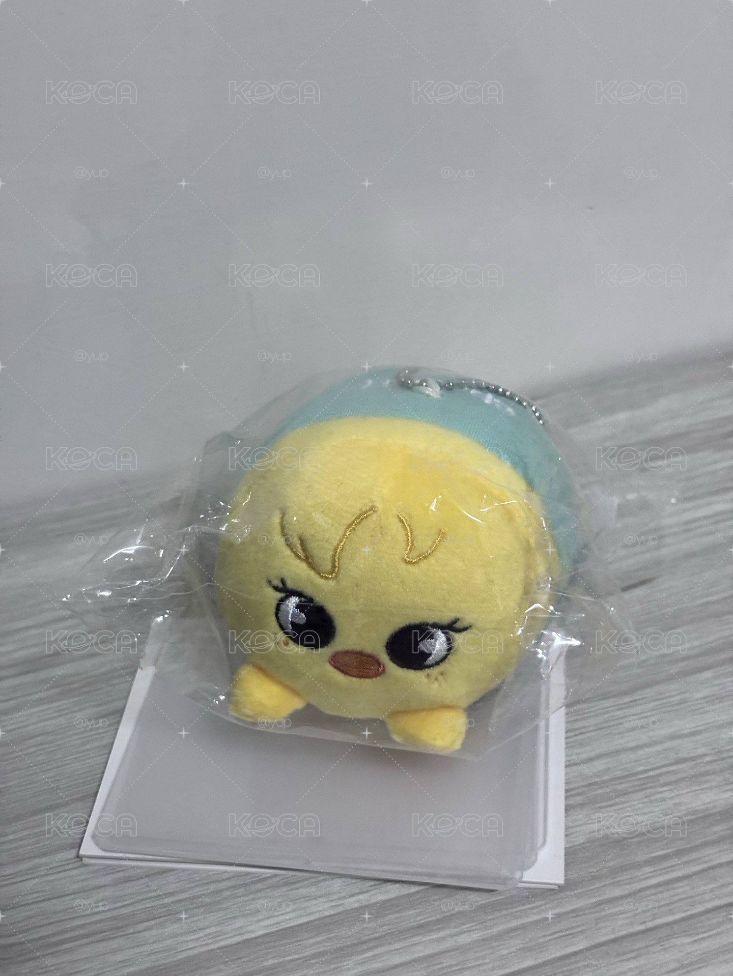 🧭SKZ 啵阿里趴娃