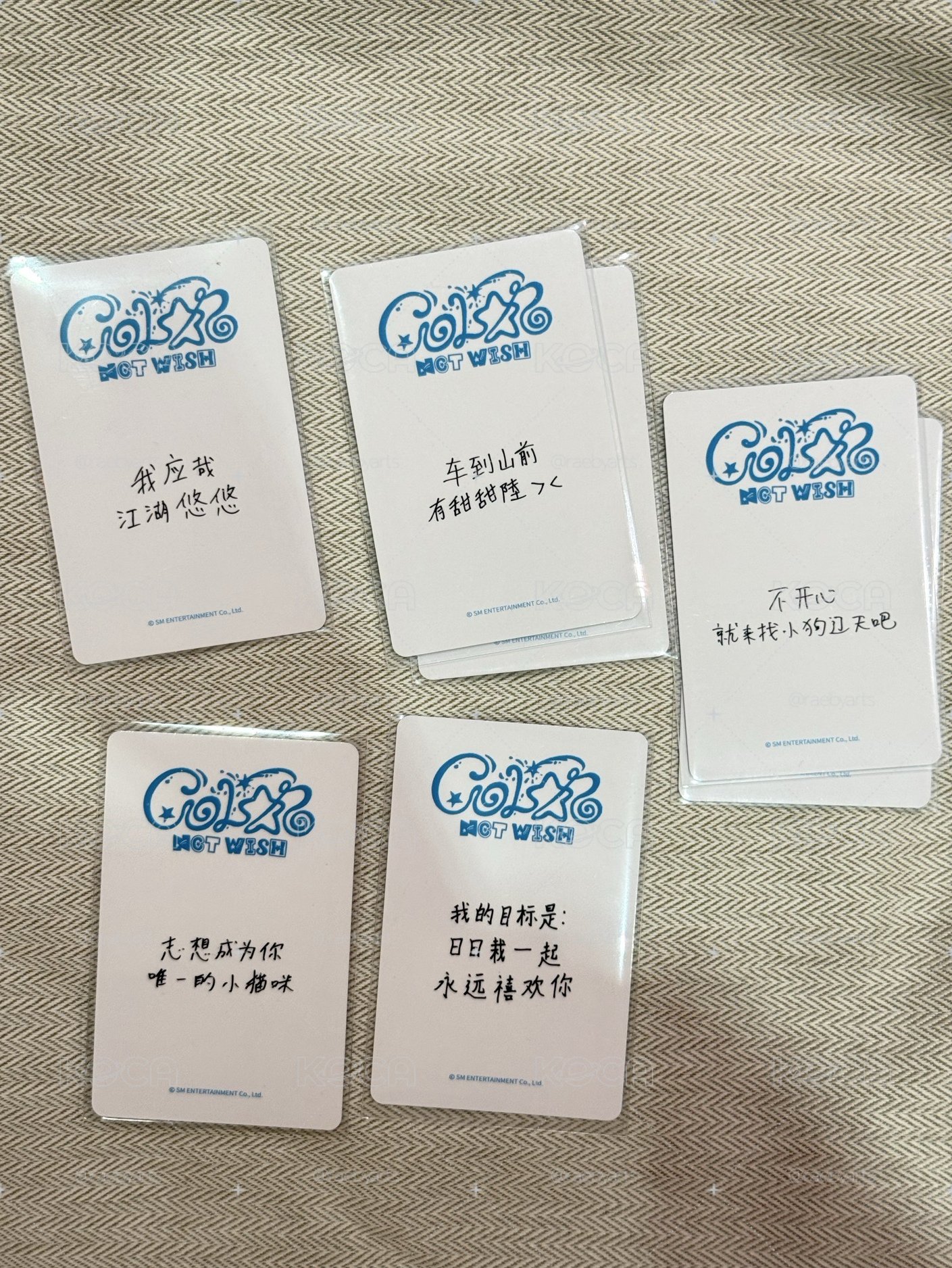 color 一直娛 中背