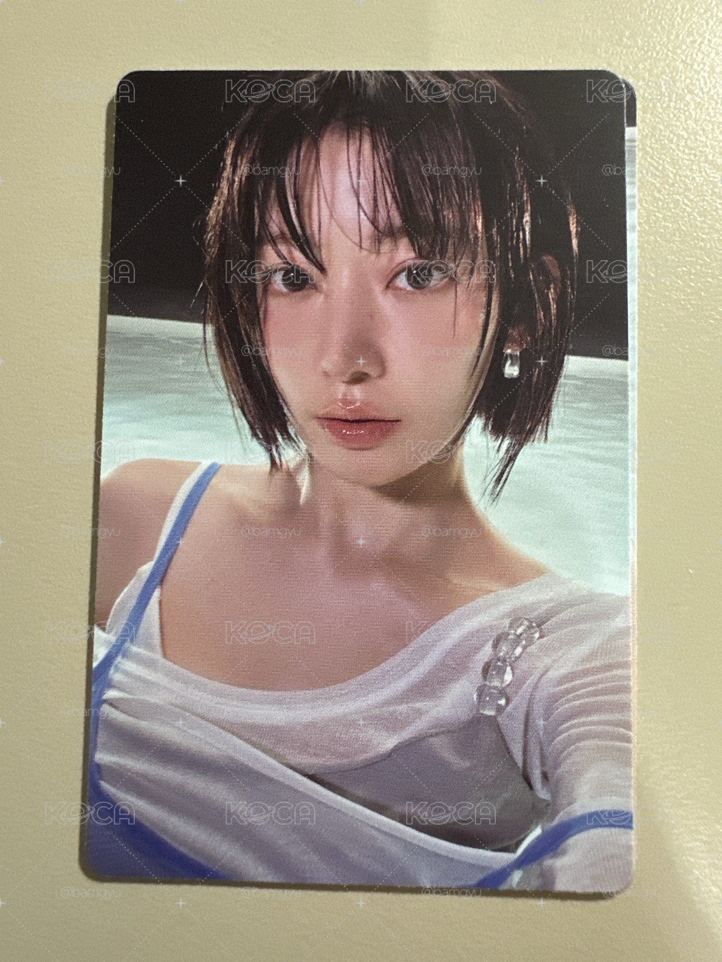 櫻花 Vol.2 專卡