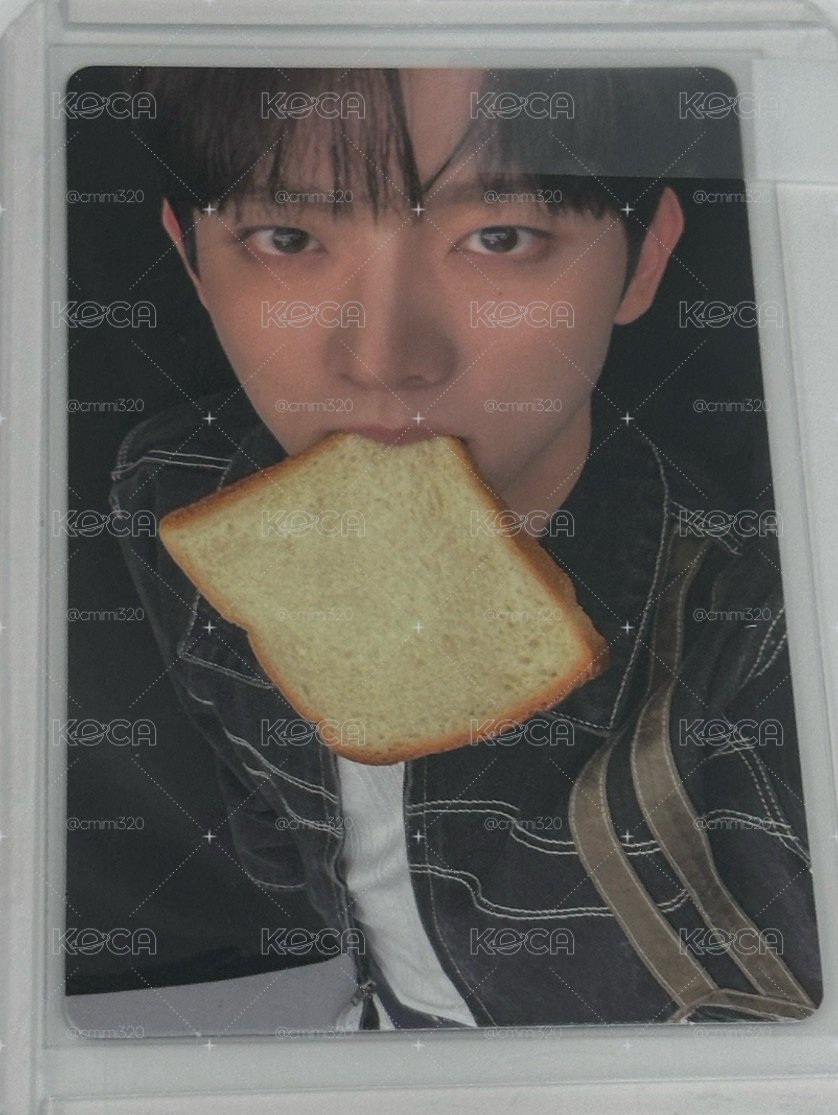 吐司彥
