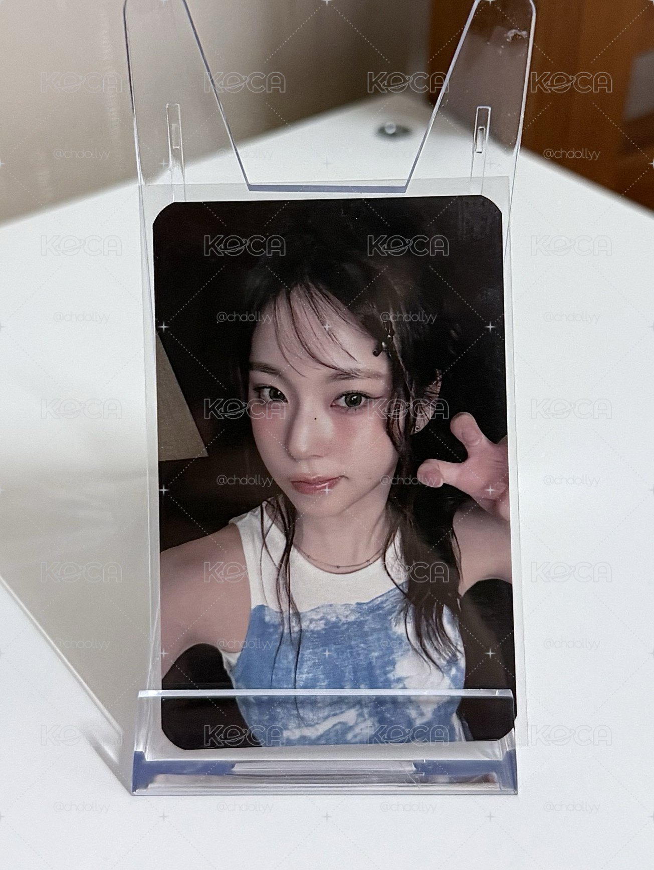 數星星LD 圭