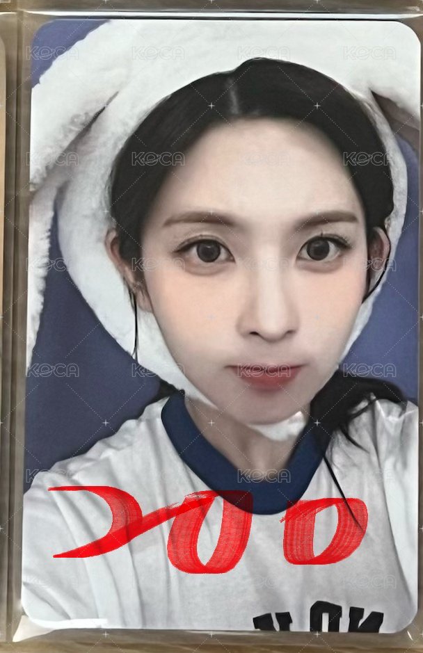 🔴兔子裴