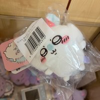 櫻花小桃