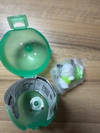 帕恰狗幸運草