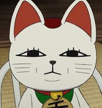 77