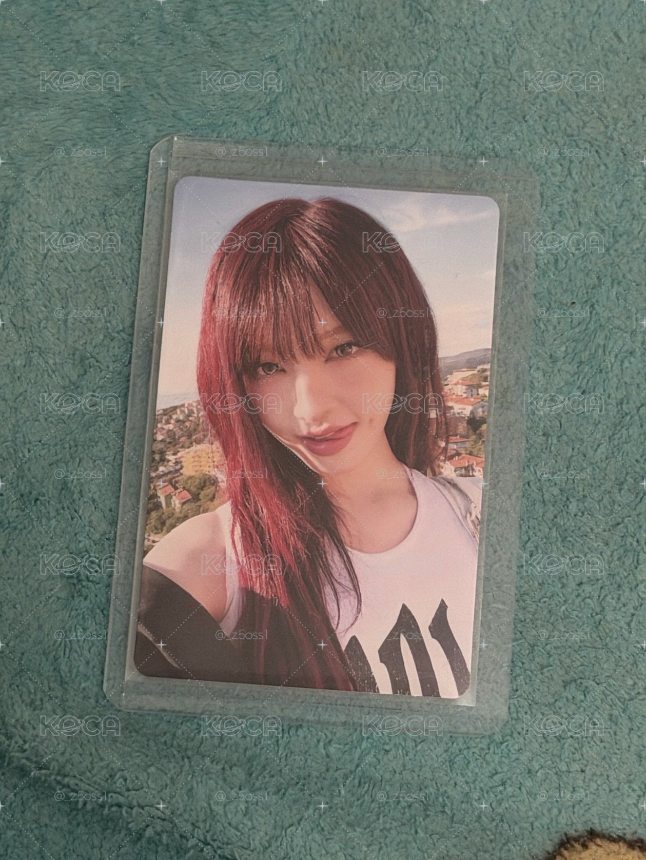 美美陽光栗