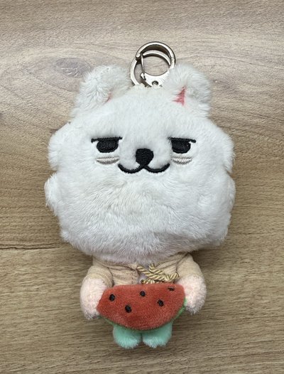 PPULBATU夏日 娃娃玩偶 西瓜崔勇猛