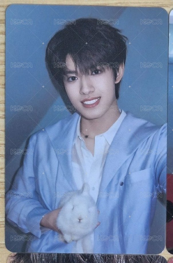 張極