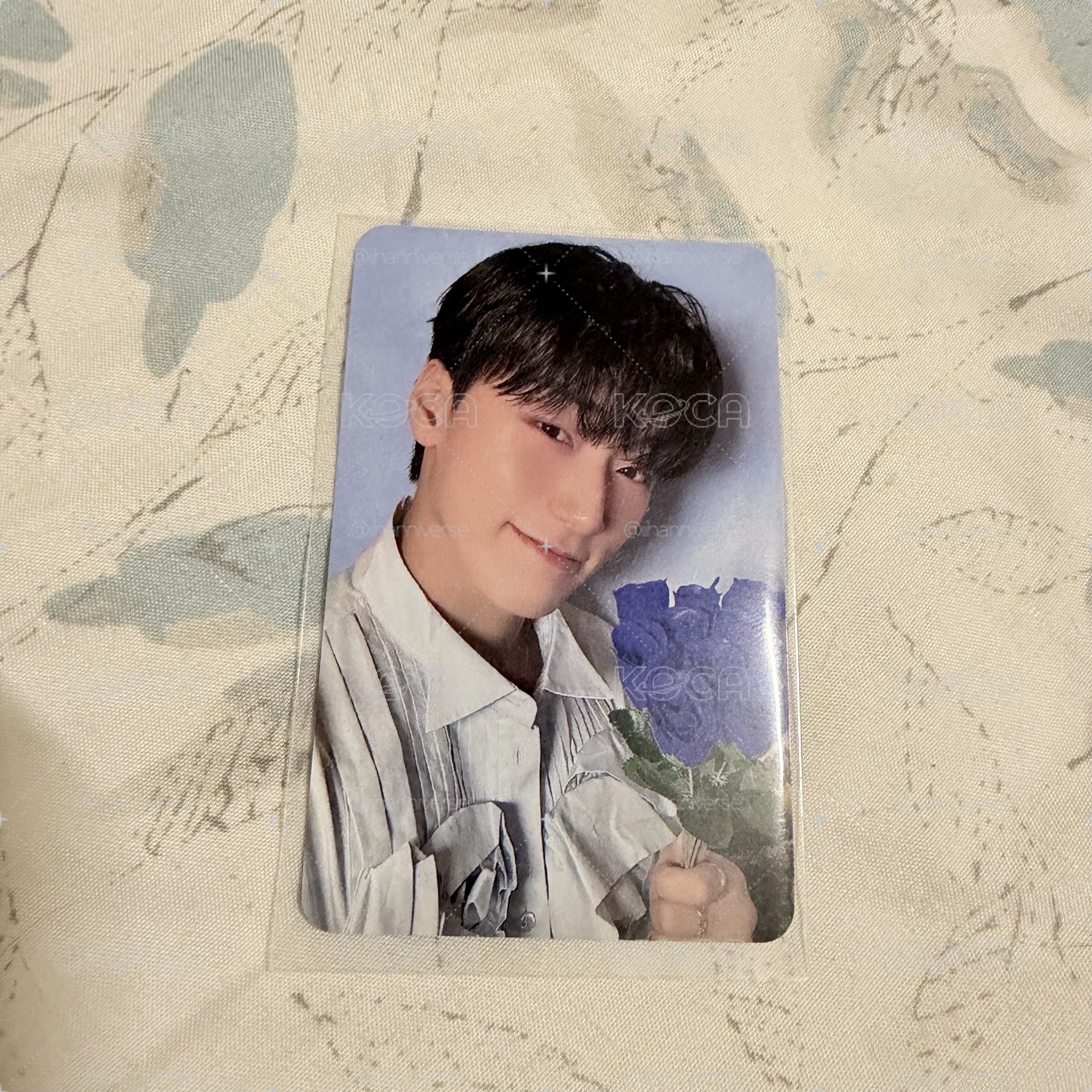 崔傘hellolive 藍玫瑰