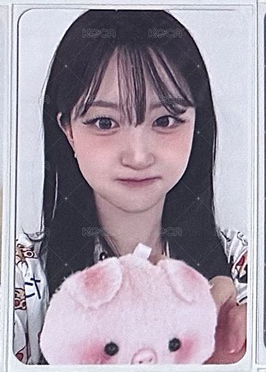 小豬豬