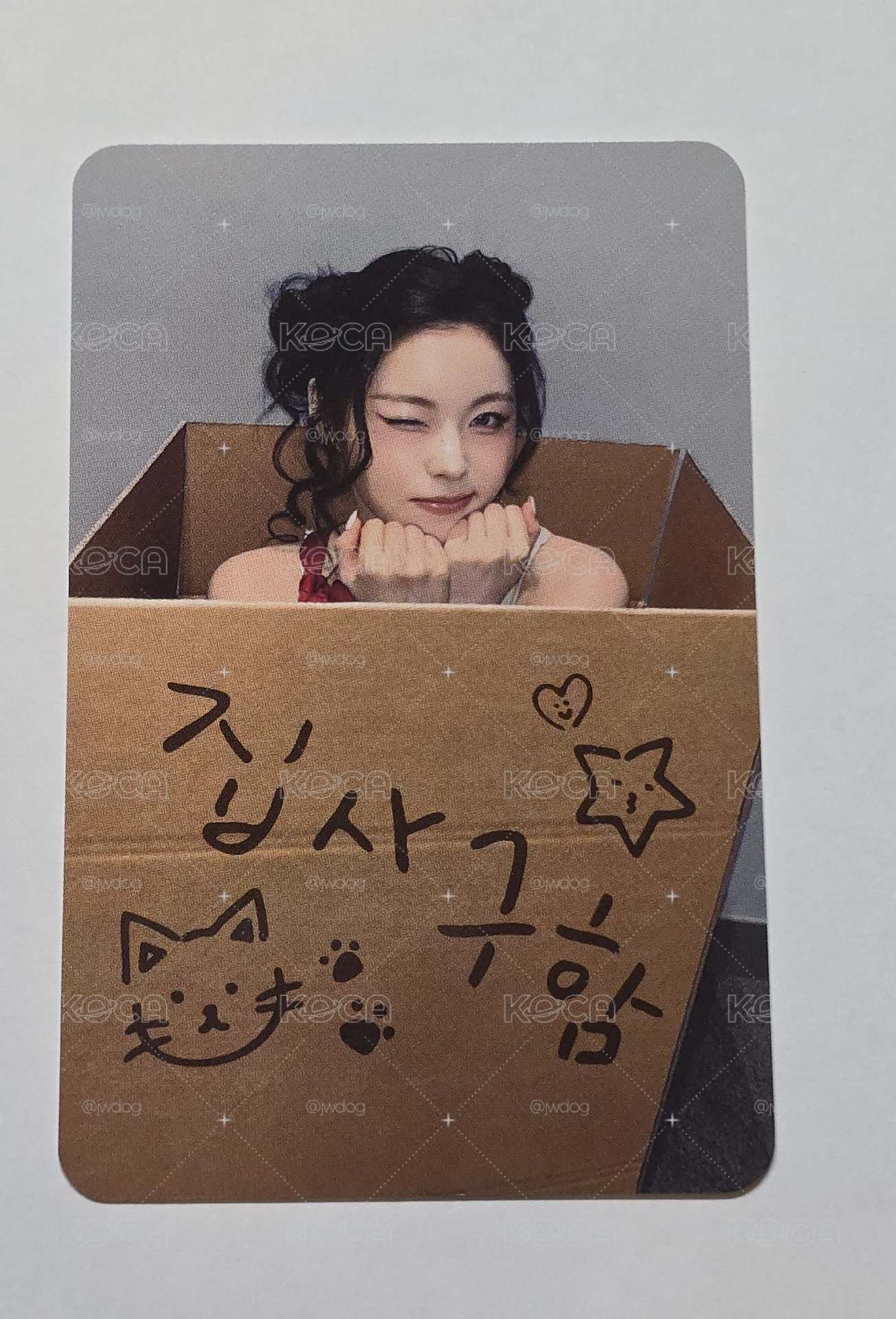 鏟屎官圭