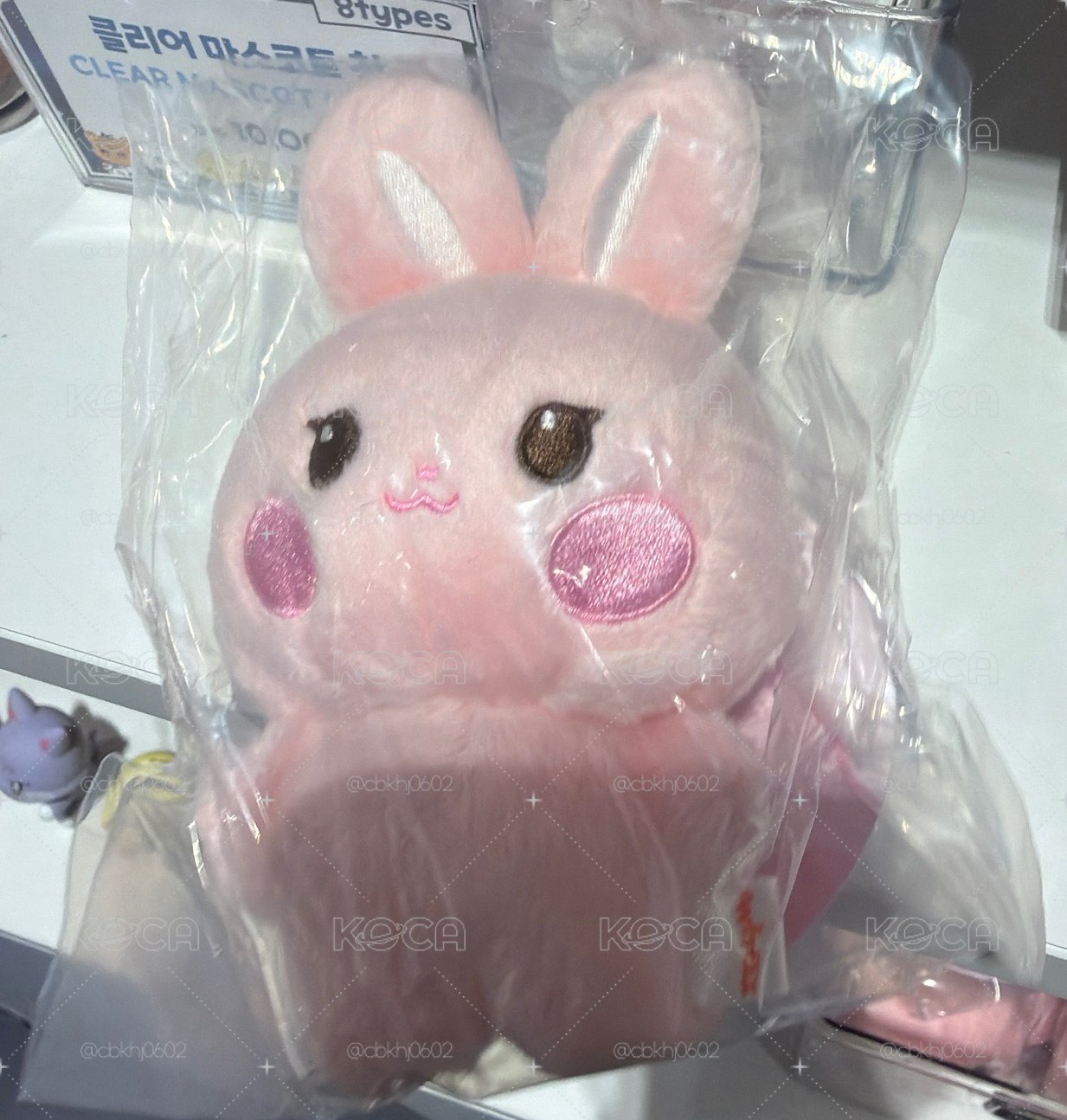 寶寶娃 星（快閃店現貨 沒有卡）