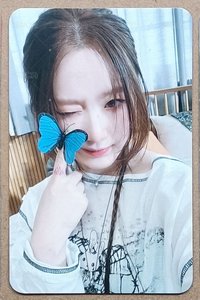 蝴蝶舒華