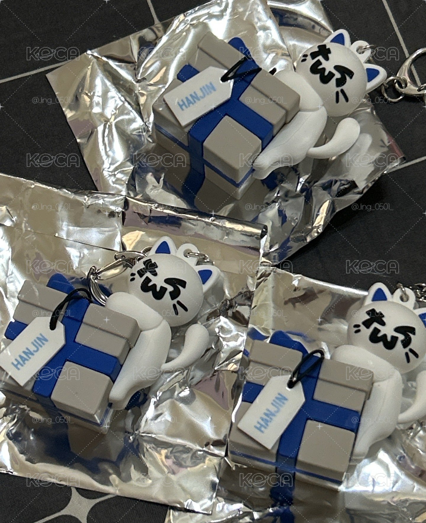 TWS二巡日場周邊韓振禮物貓吊飾