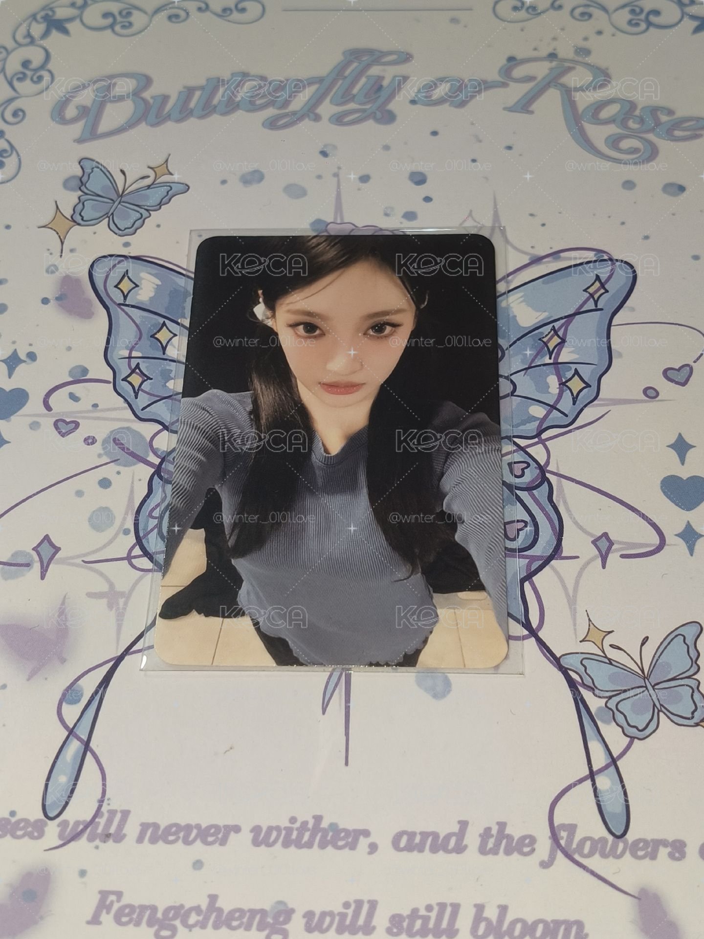 小貓寧