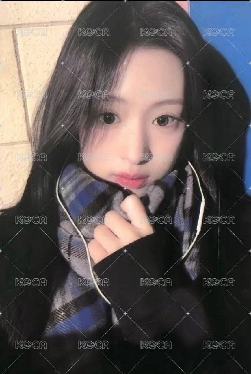 寶怪拼圖