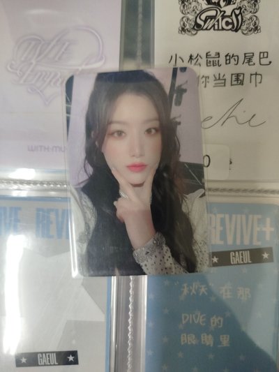 葉舒華中背