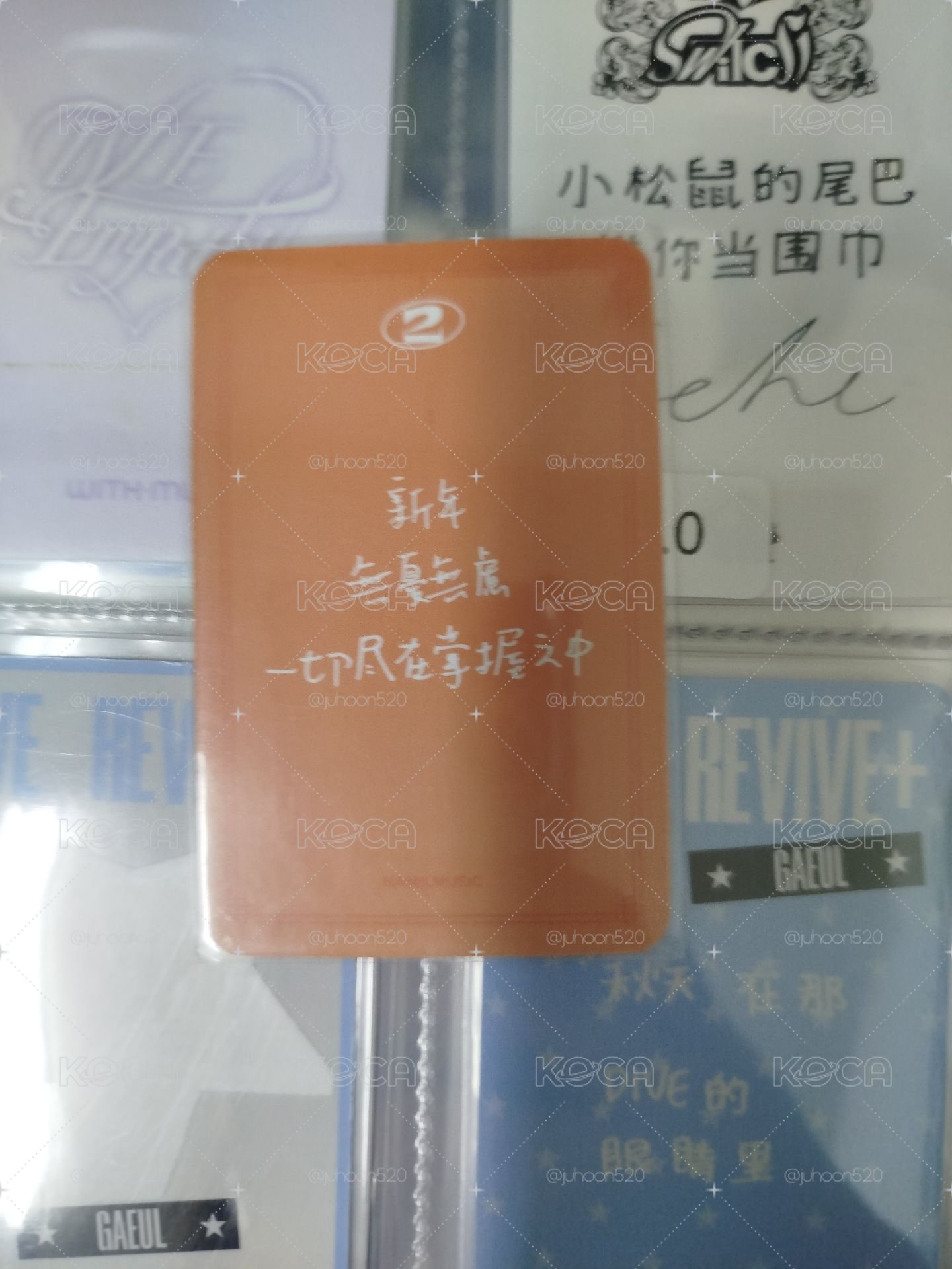 葉舒華中背