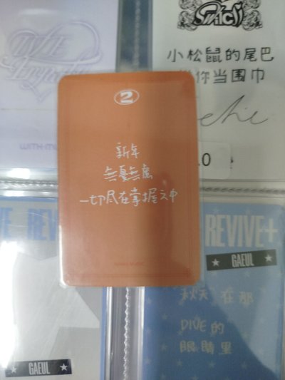 葉舒華中背