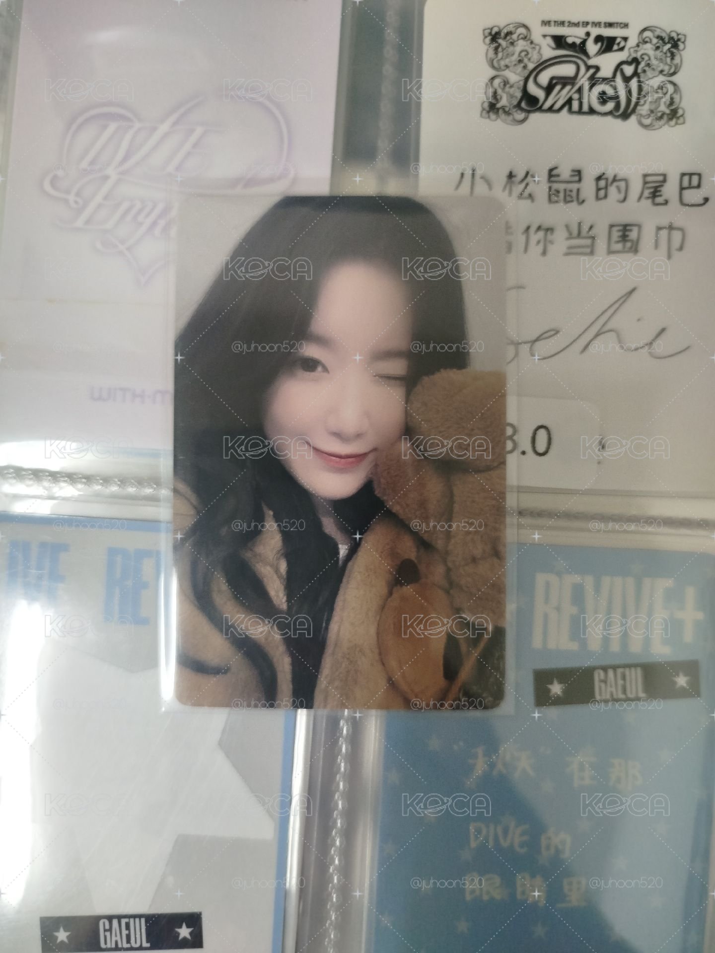 卡皮巴拉刷