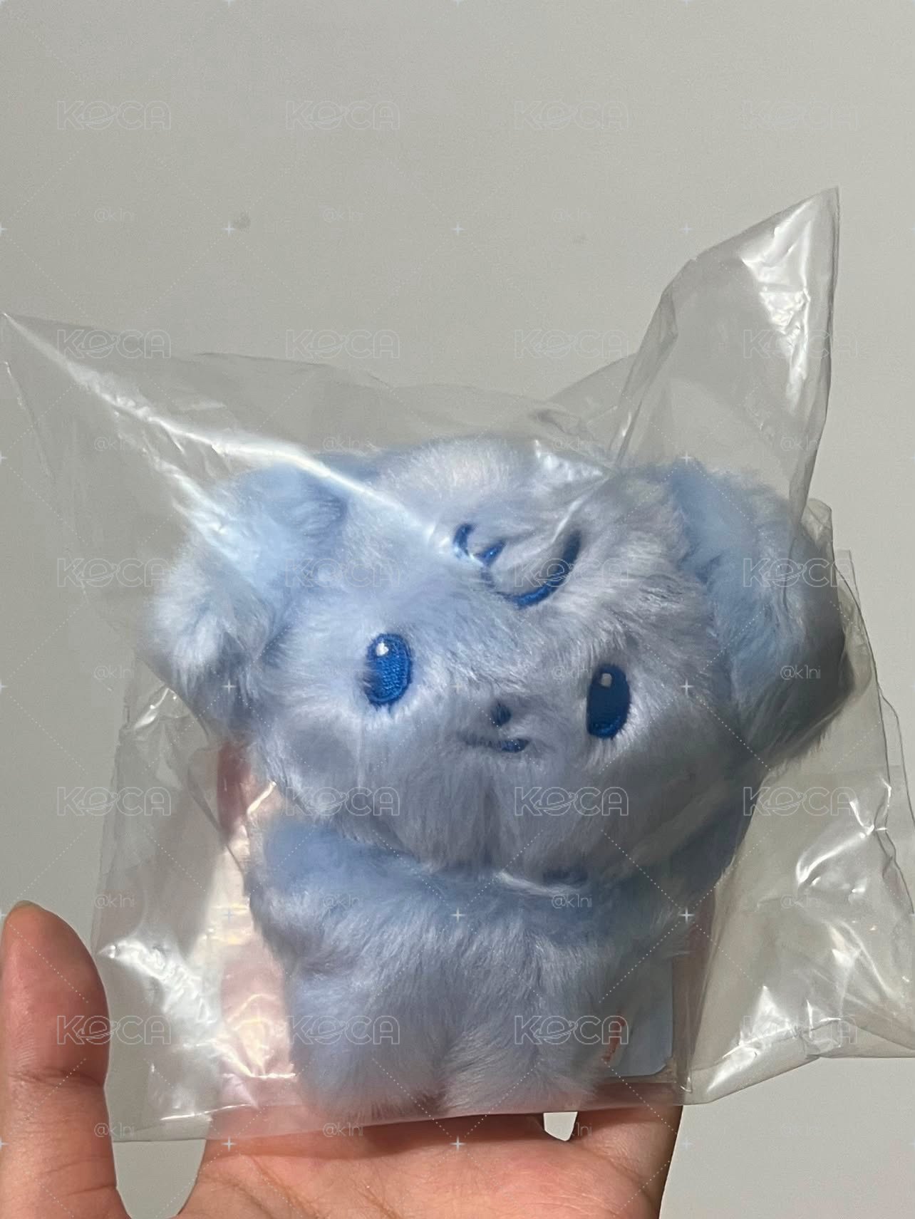 潤小盤