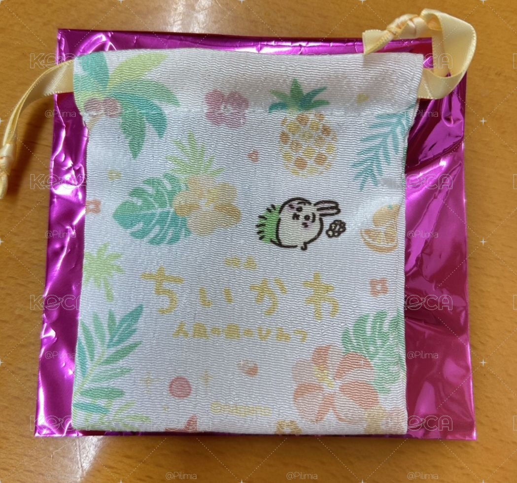 人魚島的秘密束口袋 烏薩奇