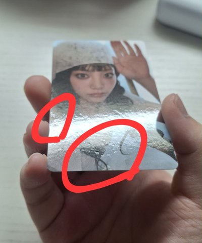 燕wvs特典