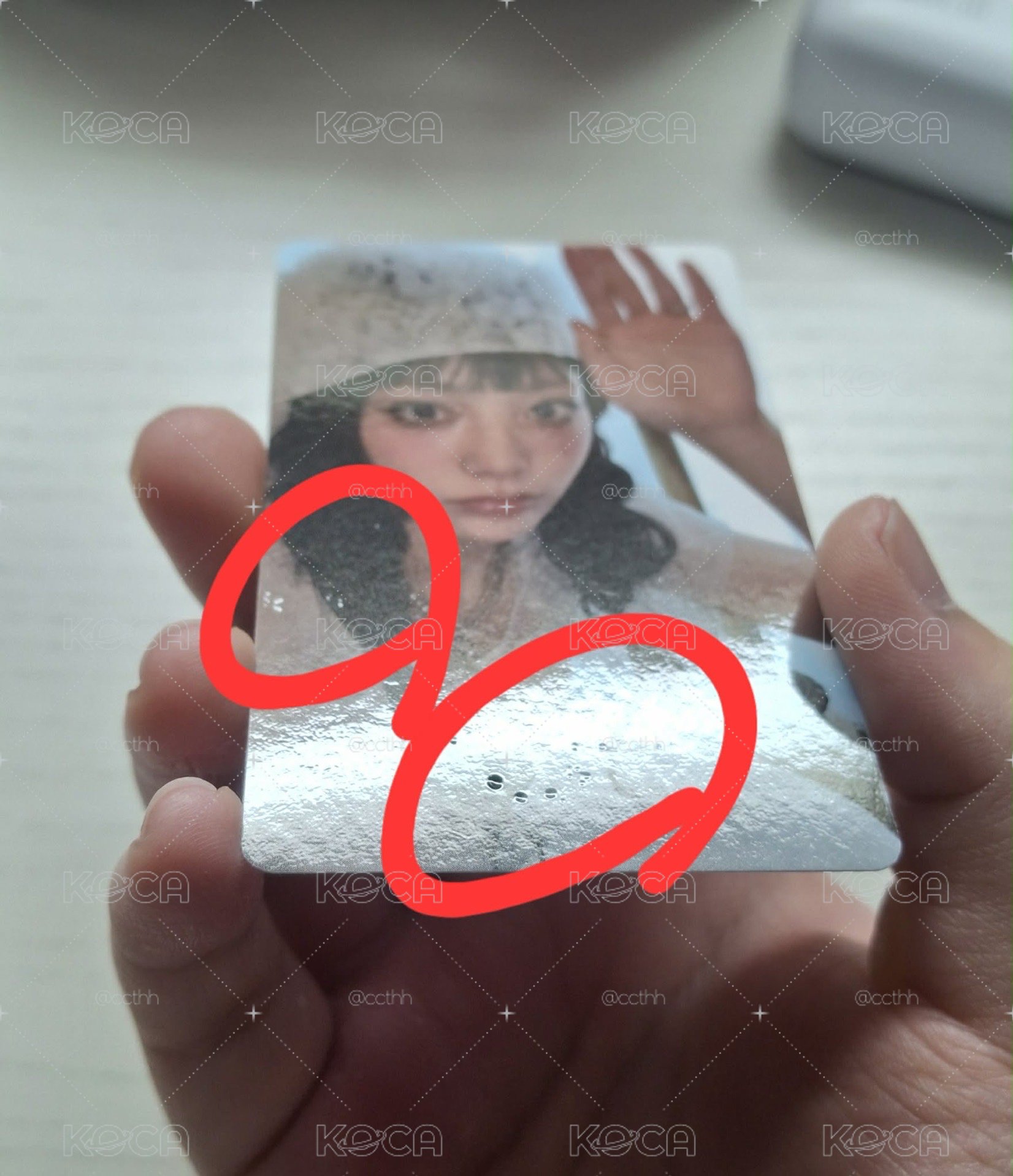 燕wvs特典