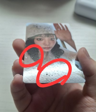 燕wvs特典