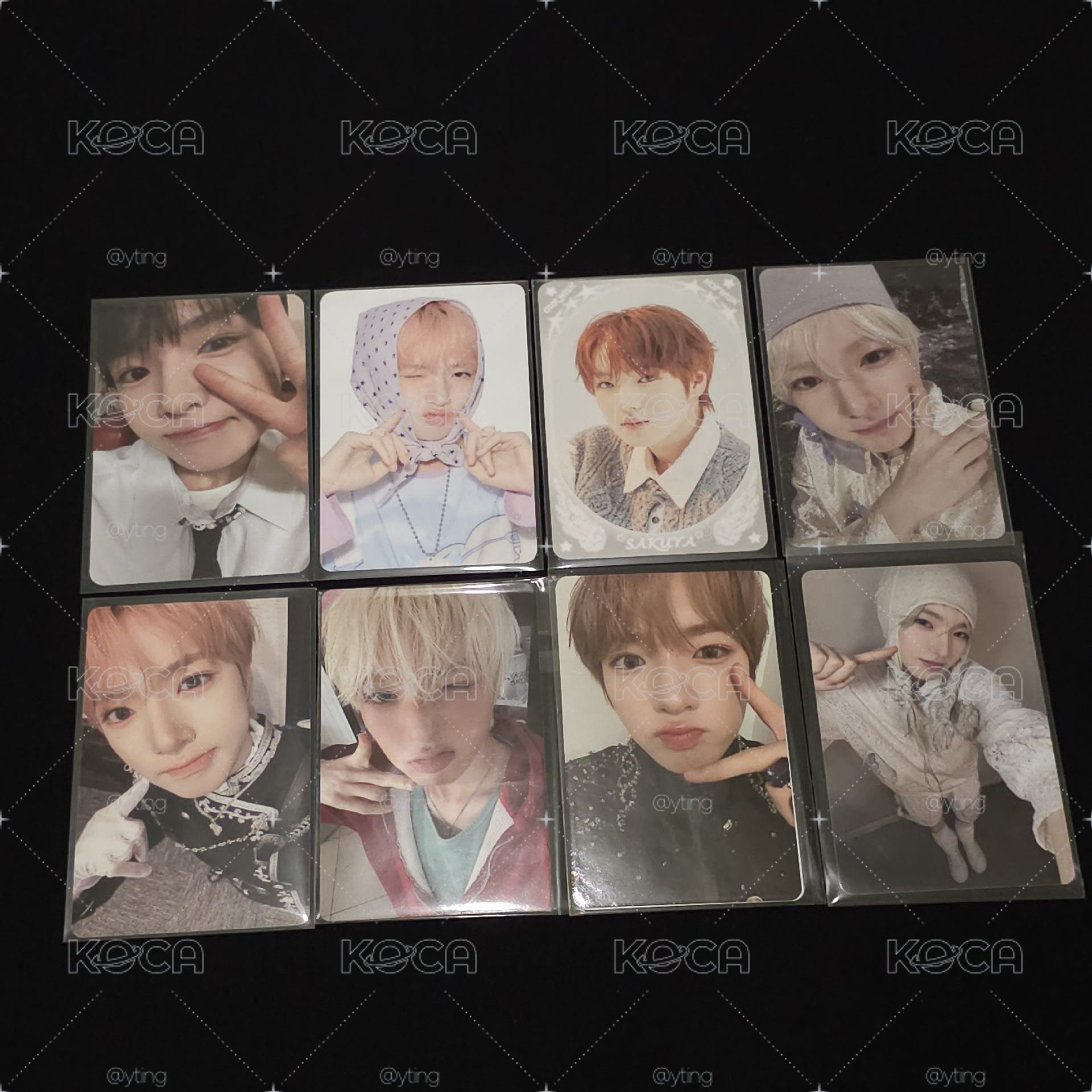 NCT WISH Saku小盤
