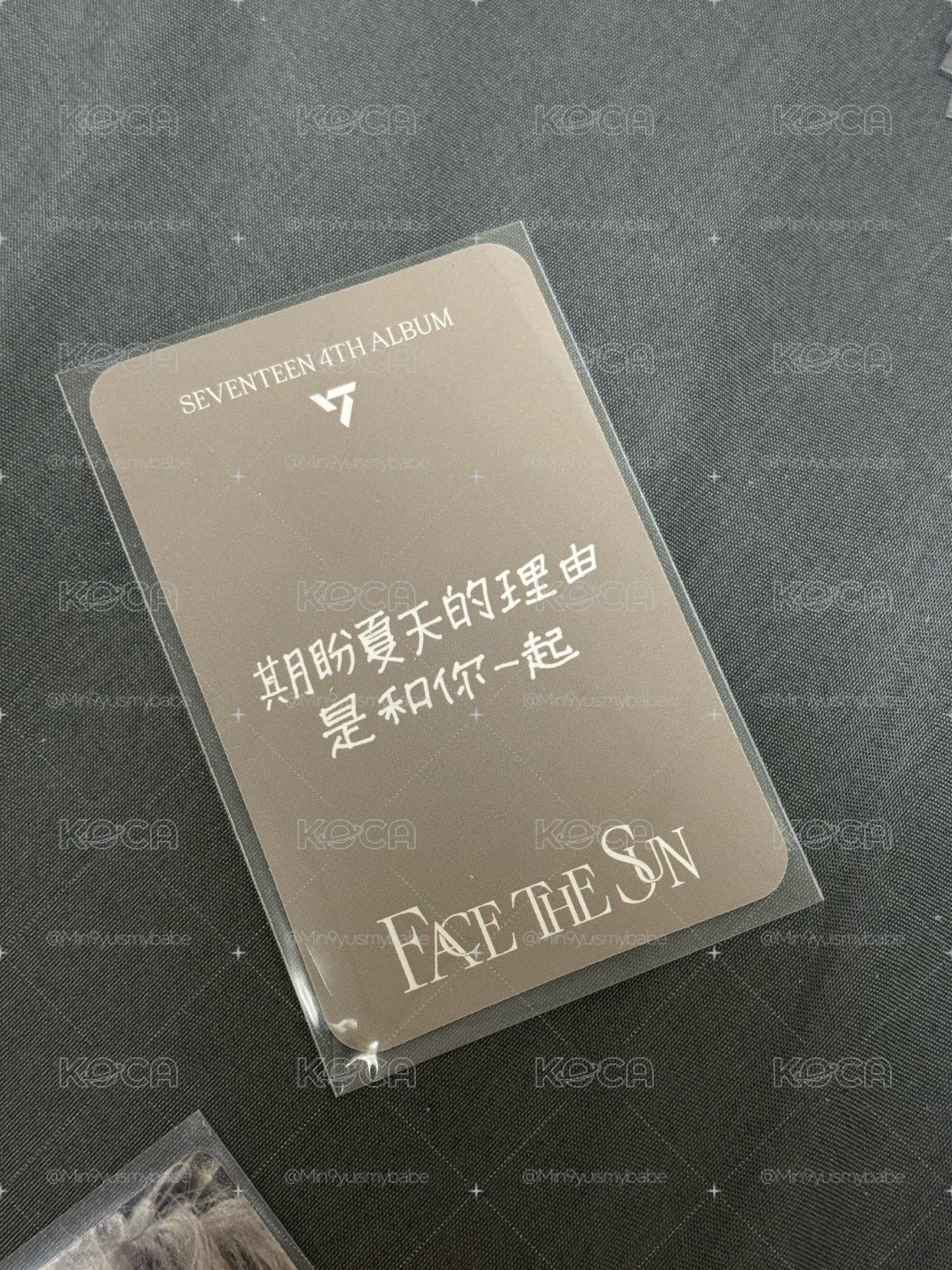 🐶奎中背：期盼夏天的理由是和你一起