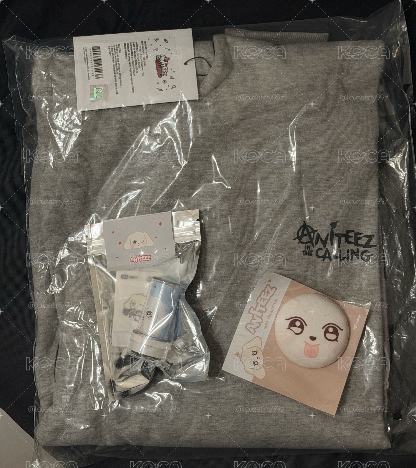 ANITEEZ IN THE CALLING HOODIE / 印章 /徽章 / TREASURE 任務 徽章