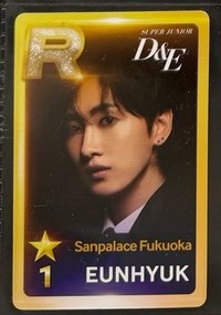 D&E日巡 三巡 入場卡 / 場限卡 福岡場 入場卡