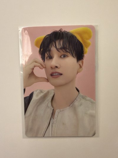 銀赫 小熊餅乾卡