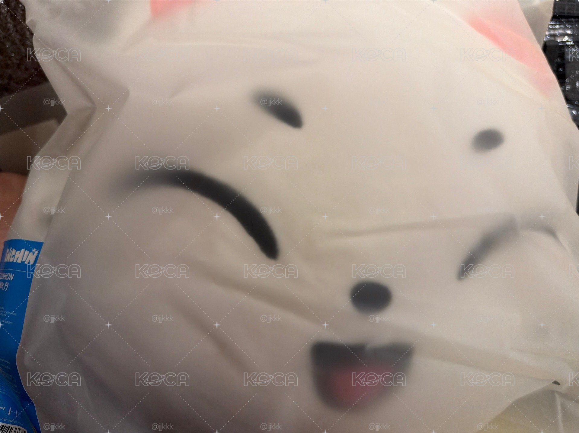 恩親禹抱枕