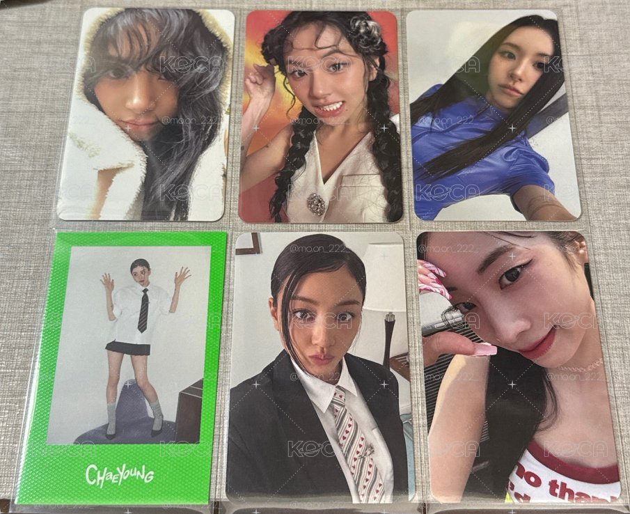 熊帽彩瑛專卡盤