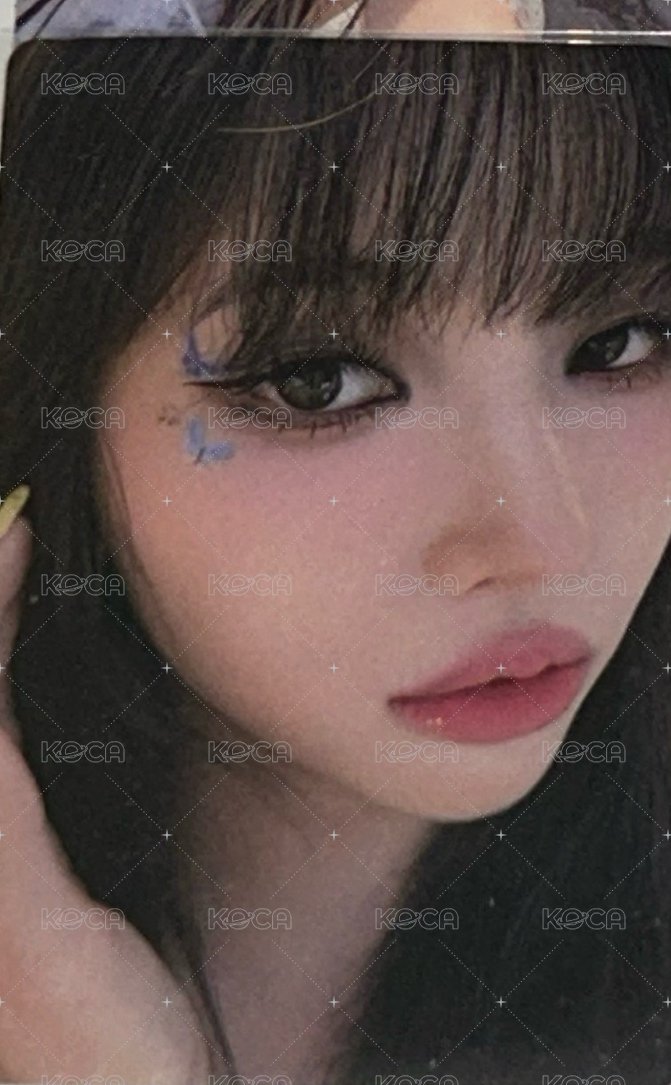 娟特典