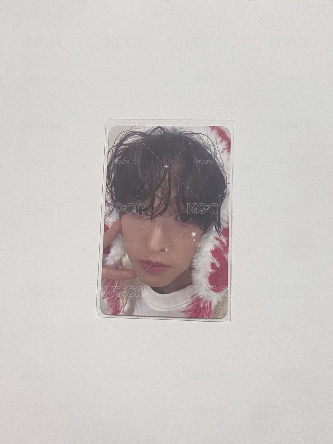 TT🐿️