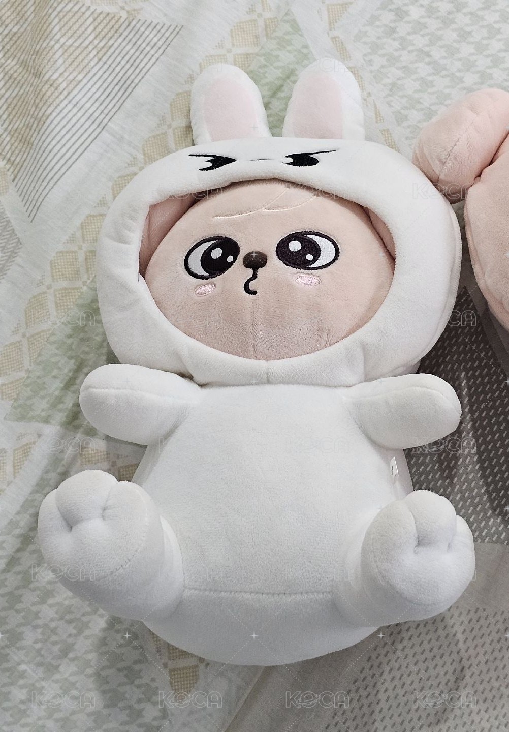 狗