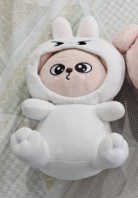 狗
