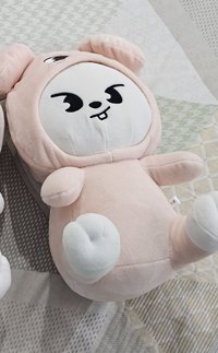 兔