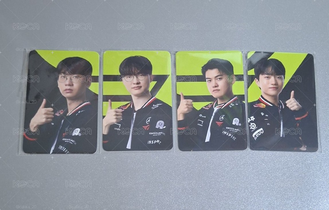 T1｜大熊綠卡🐿🐈‍⬛🐻🐶