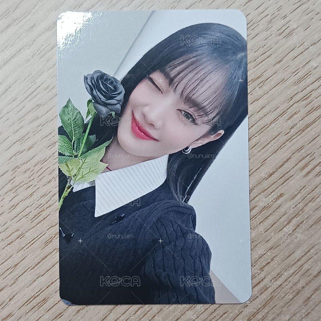 黑玫瑰妮