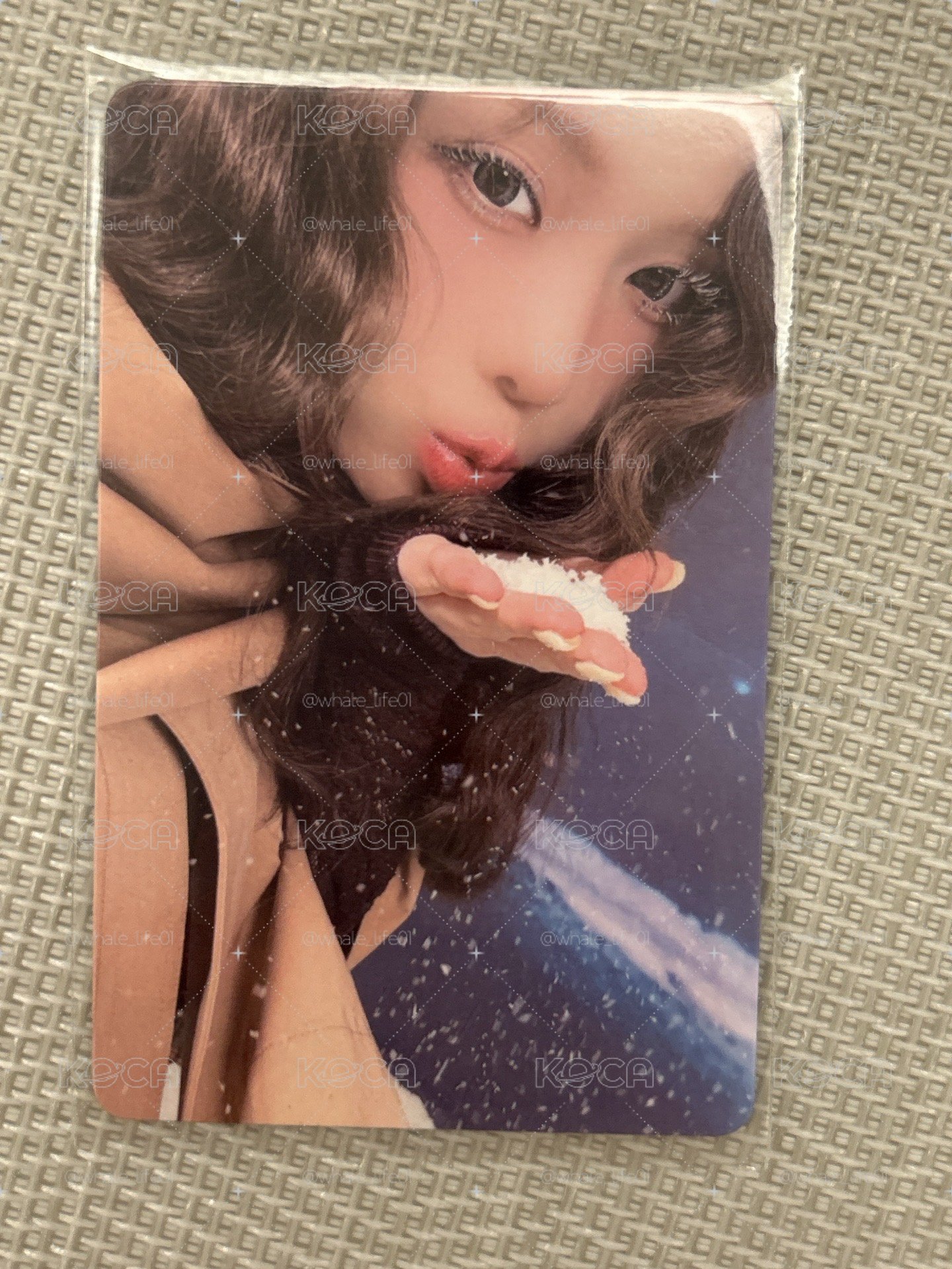 Winter MOEVIR 雜誌小卡