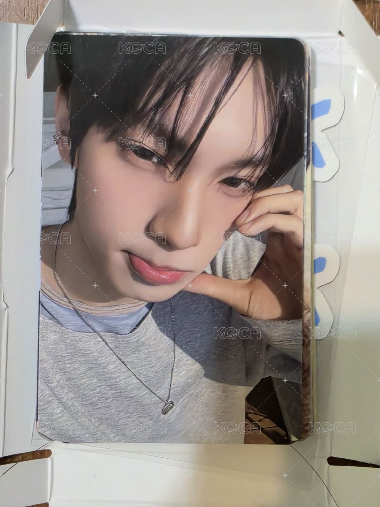🐰專1